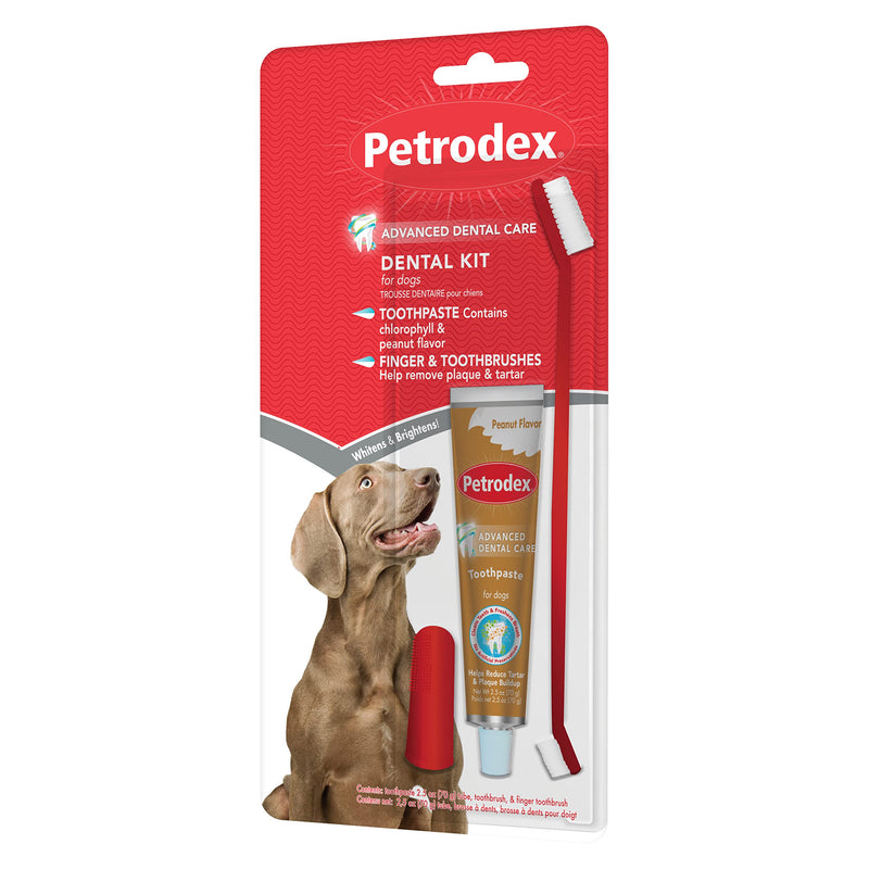 Petrodex Dental Care Kit for Dogs and Puppies, Cleans Teeth and Fights Bad Breath, Reduces Plaque and Tartar Formation, Enzymatic Tooth Brushing Kit, Peanut Flavor, 2.5oz Toothpaste + Toothbrush