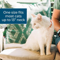 Wondercide Cat Collar - Flea & Tick Repellent - Up to 4 Months Protection