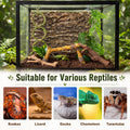 Layhit 5 Pcs Snake Climbing Branch Ring Reptile Wood Trunk Tank Decor Reptile Climbing Habitat Accessory for Terrarium T