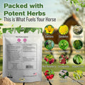 Silver Lining Herbs Mare Moods Calming Supplements for Horses - 1 lb
