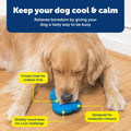 PetSafe Chilly Penguin Freezable Treat Holding Dog Toy, Small