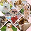 Tag4Oikia Adjustable Girl Dog Collars with Pink Bow, Cute Spring Summer Collar for Girl Female Dog, Pink Dog Collar for Small Medium Large Dogs-S