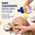 Arm & Hammer Soothing Oatmeal Dog Shampoo, Vanilla Coconut Scent, 20 Fl Oz