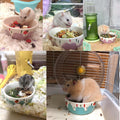 2 Pack Ceramic Guinea Pig Food Bowl Hamster Food Bowls for Gerbil Rat