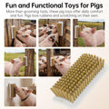 2Pcs Pig Enrichment Toys, Mini Pig Self Cleaning Brushes with Anti Slip Grip & Dual Hanging Holes, Encourages Natural Be