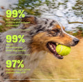 Wuffes Advanced Hip & Joint Chews for Small & Medium Breed Dogs, Vet Recommended, Glucosamine, Chondroitin, MSM, Green-Lipped Mussel & Hyaluronic Acid Supplemen