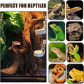 BNOSDM 2PCS Natural Reptile Climbing Branches Decor,1.8-2.2" Thick Natural Snake Climbing Forest Wood with Plant Leaf De