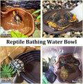 Reptile Water Dish with Ramp Turtle Bathing Pool 7 Pcs Feeding Bowl
