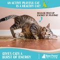 Raw Paws Fresh Catnip for Cats, 1-oz (2 Cups) - Use for Refillable Catnip Toys for Cats - Natural Dried Cat Nip