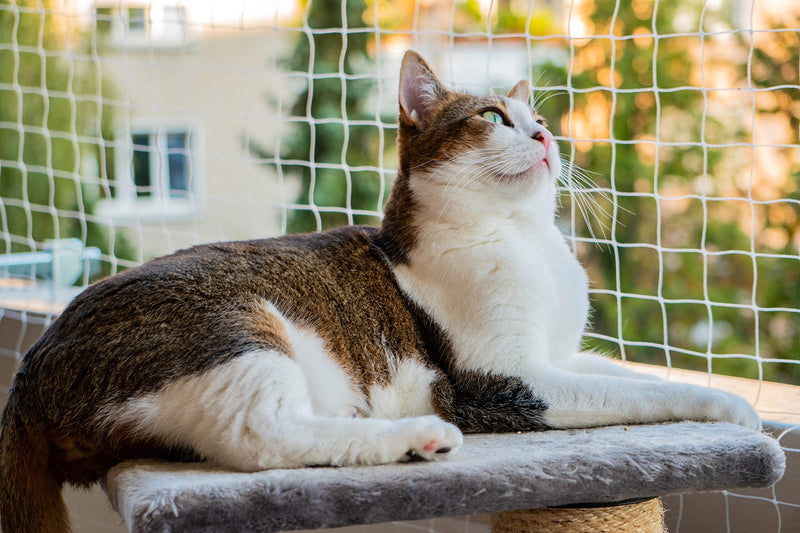 Cat Netting 10 * 13ft Cat Anti-Fall Net Duralble Nylon Balcony Screen for Pets Pet Safty Netting for Windows and Patio