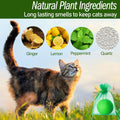Cat Deterrent Outdoor & Indoor, 10pcs Peppermint Mint Cat Deterrent Balls