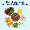 Solid Gold Dehydrated Chicken & Pumpkin Dog Food - Just Add Water Makes 4LB