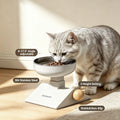 Elevated Cat Bowl with Height Adjustable 0-17.5° Tilt Stand,White