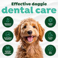 TropiClean Fresh Breath Max Strenth Water Additive, Teeth Cleaning, 33.8oz