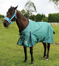 T TEKE Deluxe Turnout Horse Blankets, 1200D Waterproof and Breathable Horse Care Blankets for Winter 200gram Filling (51