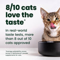 VetriScience Kidney Health Powder for Cats, Chicken & Cheese