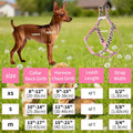 Mile High Life Leopard Dog Harness Collar Leash Set, Adjustable No Pull Dog Halter Harness for Small Breed Dogs, Easy Control for Training Walking (Pink, XS Chest 9"-15", Neck 8"-12")