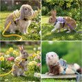 4 Sets Leash Set Small Pet Cute Vest Harness Leash and Adjustable Bunny Rabbit Harness with Decoration for Bunny Ferret 
