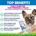 Squishface Wrinkle Paste - Bulldog, French Bulldog, Pug, English Bulldog – Cleans Wrinkles, Tear Stain, Tail Pockets, and Paws – Anti-Itch Tear Stain Remover & Bulldog Wrinkle Cream, 2 Oz.