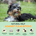 Carmelie Flea and Tick Prevention for Dogs, Supports Skin & Coat, 200 Chews