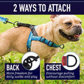 Leash Boss No Pull Dog Harness, Easy Walk for Small, Medium, and Large Pets, Reflective with Rear and Front Clip Attachment (Wave Pattern, Medium)