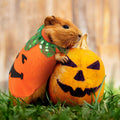 Halloween Guinea Pig Clothes, 2 Pack Soft Small Pet Vest Outfits