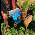 Automatic Water Bowl Livestock Waterer for Horse Cattle Goat Sheep Dog