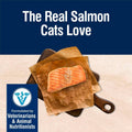 Blue Buffalo True Solutions Skin & Coat Care Salmon Dry Cat Food, 3.5 lb