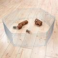 TRIXIE Small Animal Indoor Wire Playpen, Portable Hamster Exercise Pen, 10" Tall