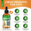 Probiotics for Cats for Digestive Support – Cat Probiotics for Indoor Cats Help with Colic, Upset Stomachs, Diarrhea, Gas, and Bloating – Prebiotics + Pleasant Chicken Flavor Inside – 2 Oz
