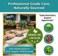 Sulcata Tortoise Calcium & Multivitamin Powder - Herpetologist Formulated Vitamin and Mineral Powder for Reptiles with H