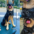 Durable Walking Dog Training Collar, Strong Stainless Steel Chain for Pitbull German Shepherd and Large Dogs.