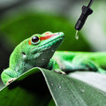 Reptile Misting System with Timer, Reptile humidifier with 4 Spray Nozzles