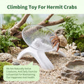 Hamster Wheel, 12.7cm Diameter Hermit Crab Wheel for Small Pets