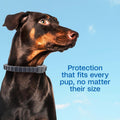 ADAMS Flea & Tick Collar Plus for Dogs, Prevent flea infestations, 2 ct