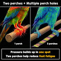 Birds Day Bird Carrier Backpack - Breathable Mesh Portable Parrot Travel Cage with 2PCS Perch, Food Bowl, and Stainless 