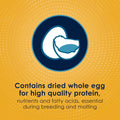 Kaytee Forti-Diet Pro Health Egg-Cite Nourish+Protect Parakeet, Supports Breeding and Molting, Nutrition Backed by Science, Digestive Health, 5 pounds