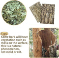 Fhiny 2 PCS Cork Bark Background, 11.6" x 7.7" Natural Reptile Terrarium Backdrop, Reptile Climbing Wall Decor for Beard