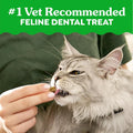 Greenies Cat Treats, Feline Veterinarian-Recommended Adult Natural Dental Cat Treats, Savory Salmon Flavor, 4.6 oz. Pouch