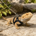 3 Pack Bearded Dragon Leash and Harness Set, Small Reptile Lizard Vest Harness Leash, 3 Size Adjustable Lizard Walking S