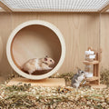 L, 11 Inch Wooden Silent Hamster Wheel with Water Bottle