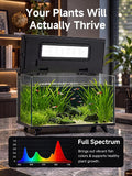 M1 5 Gallon Smart Fish Tank, App-Controlled Betta Aquarium Kit