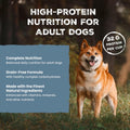 Blue Buffalo Wilderness Adult Wet Dog Food, High-Protein & Grain-Free, Made with Natural Ingredients, Beef & Chicken Grill, 12.5-oz. Cans, 12 Count