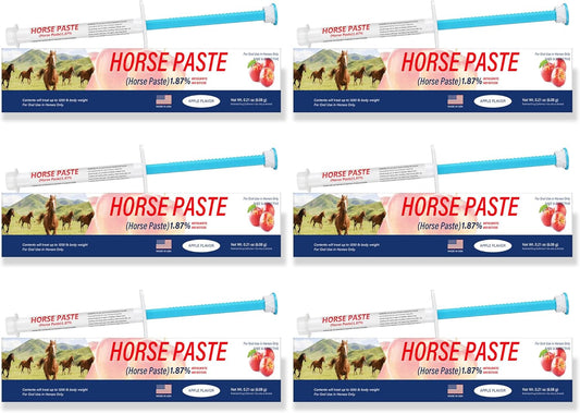 6 Pack (6.08g) Apple Flavored Oral Paste for Horses