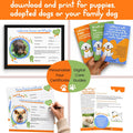 Premium Puppy Starter Kit - New Puppy Gift Basket with Essentials, Toy Box, Treat Tray, Training Supplies, Chew & Squeaky Toys for Puppies and Small Dogs - Complete Dog Must Haves for New Dog Owners