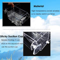 capetsma Fish Breeding Box, Acrylic Fish Isolation Box with Suction Cups, Aquarium Acclimation Hatchery Incubator for Ba
