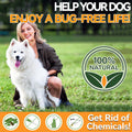 Carmelie Flea and Tick Prevention for Dogs Chewables 200 Ct, Vet Formulated