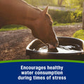 Farnam Apple Elite Electrolyte Paste Supplement for Horses, 60 cc Syringe