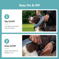 Didog Soft Flannel Padded Dog Vest Harness, No Pull/Quick Fit Reflective Dog Strap Harness, Easy for Training Walking (L:Chest 26-32", Mixed-Blue)