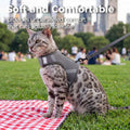 pangdi Cat Harness and Leash Set Escape Proof Kitten Harness No-Head-Pull Cat Vest Cat Leash for Walking Travel, Grey, X-Large